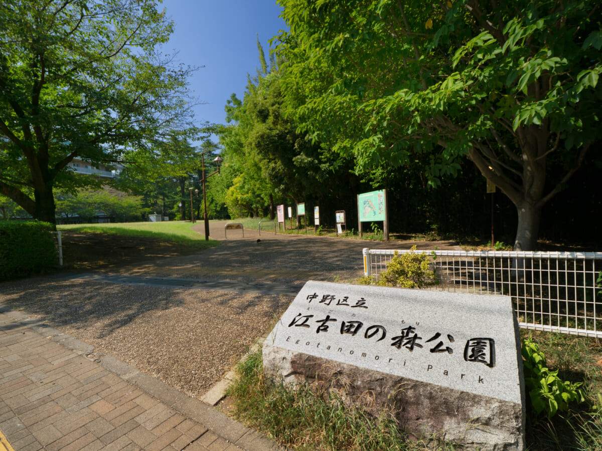 江古田の森公園